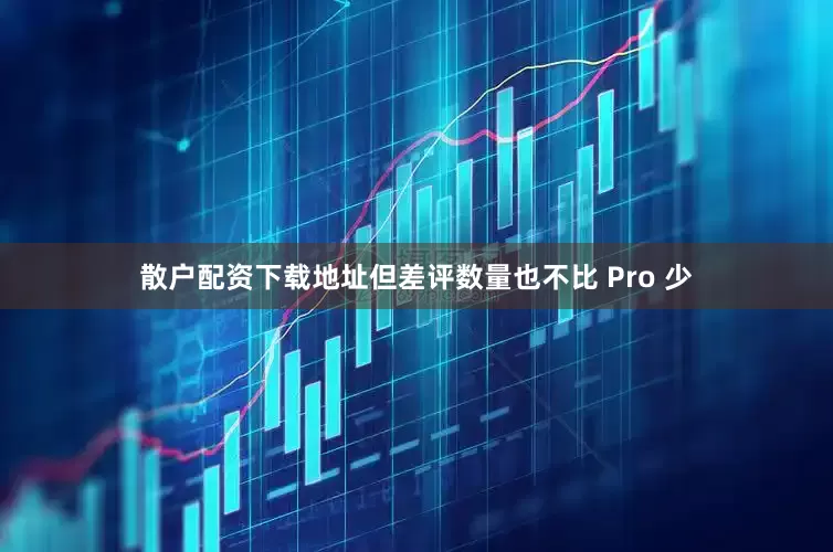 散户配资下载地址但差评数量也不比 Pro 少